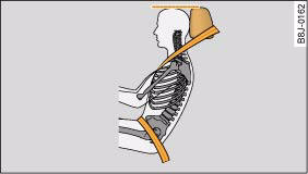 Audi A4: Correct sitting positions. Correctly adjusted head restraint (seen from the side)