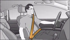 Audi A4: How to wear seat belts properly. Positioning of head restraints and seat belts