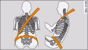 Audi A4: How to wear seat belts properly. Adjusting shoulder and lap belt