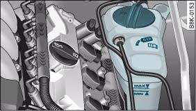 Audi A4: Cooling system. Engine compartment: Markings on radiator expansion tank