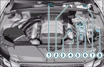 Audi A4: Engine compartment layout. Typical locations of fluid containers, engine oil dipstick and